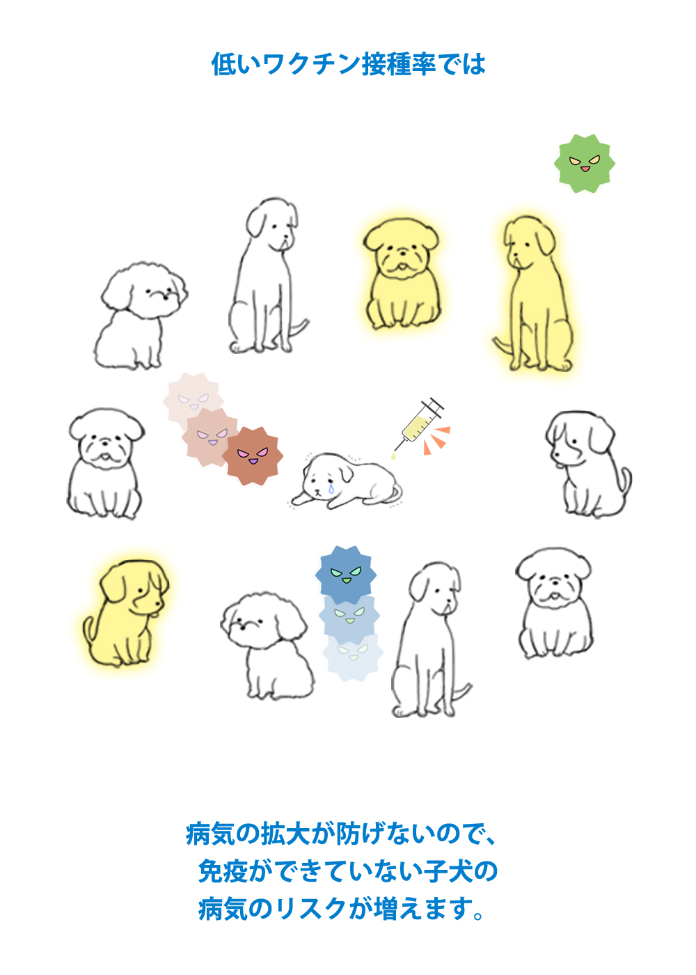 HD限定 犬 ワクチン 回数 - 画像動物フリー