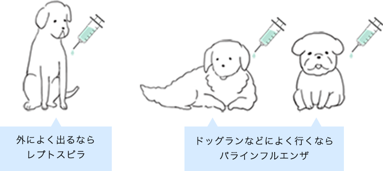 外によく出るならレプトスピラ(注射) ドッグランなどによく行くならパラインフルエンザ